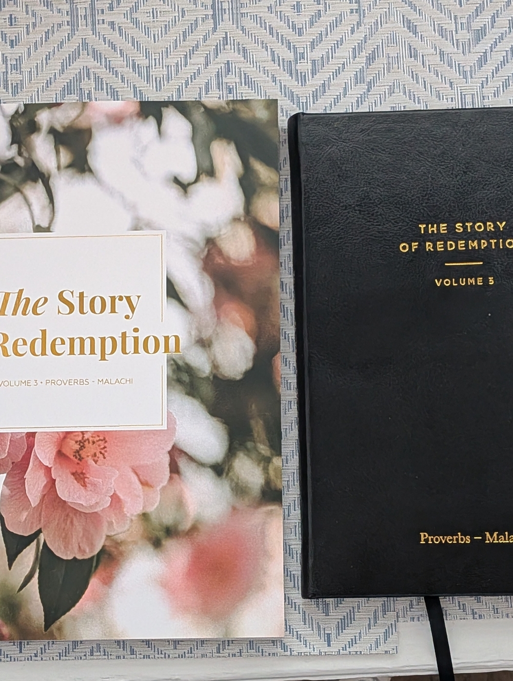 Daily Grace Co Story of Redemption Vol 3: Proverbs-Malachi Study and Journal